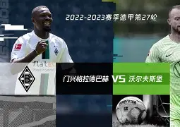 沃尔夫斯堡力挽狂澜，全面转机的简单介绍